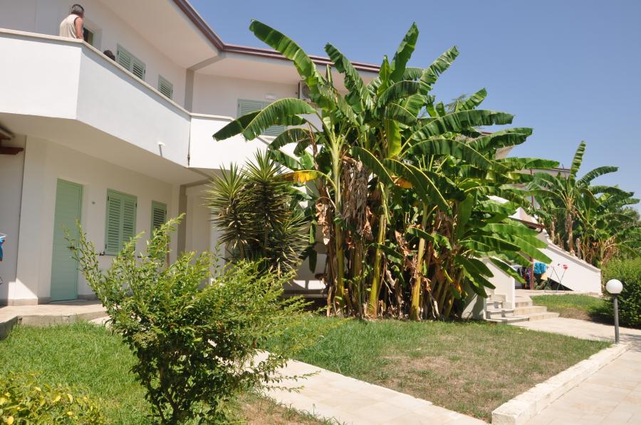 Villaggio Borgo degli Ulivi